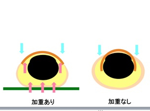 メカノバイオロジー的手法を用いた爪と髪の再生1