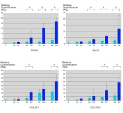 Cartilage regeneration using hydrostatic pressure-loaded adipose-derived stem cells