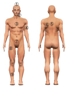 Measurement of skin stretching/contraction rates